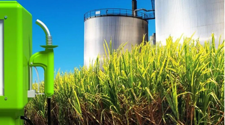 Por Qué La Producción De Bioetanol Marca Un Récord En Argentina – JYZXLK